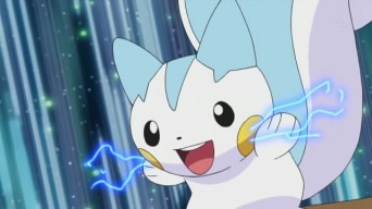 the pokemon Pachirisu