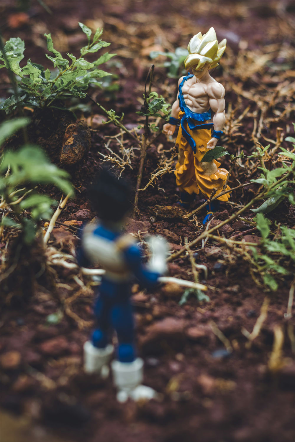 Two Dragon Ball Z figures posed outside Two Dragon Ball Z figures posed outside